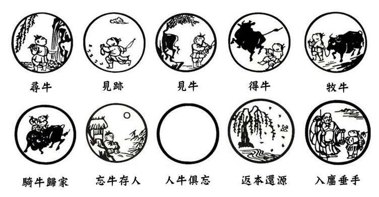 tien plaatjes van de os